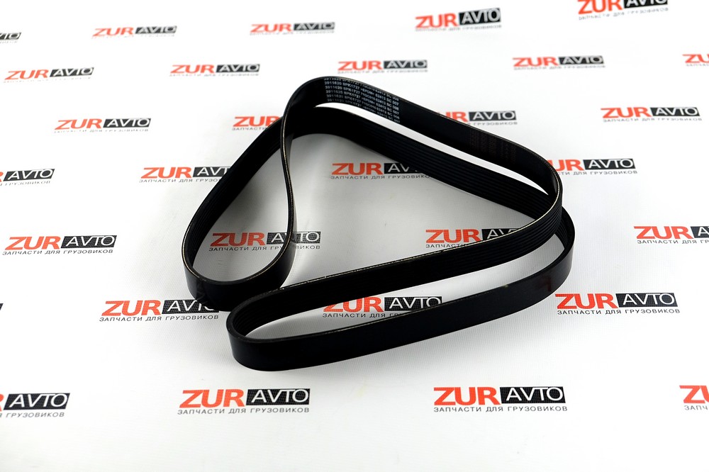 Ремень 1727/8РК L, QSL, ISLe 3911620 3911620