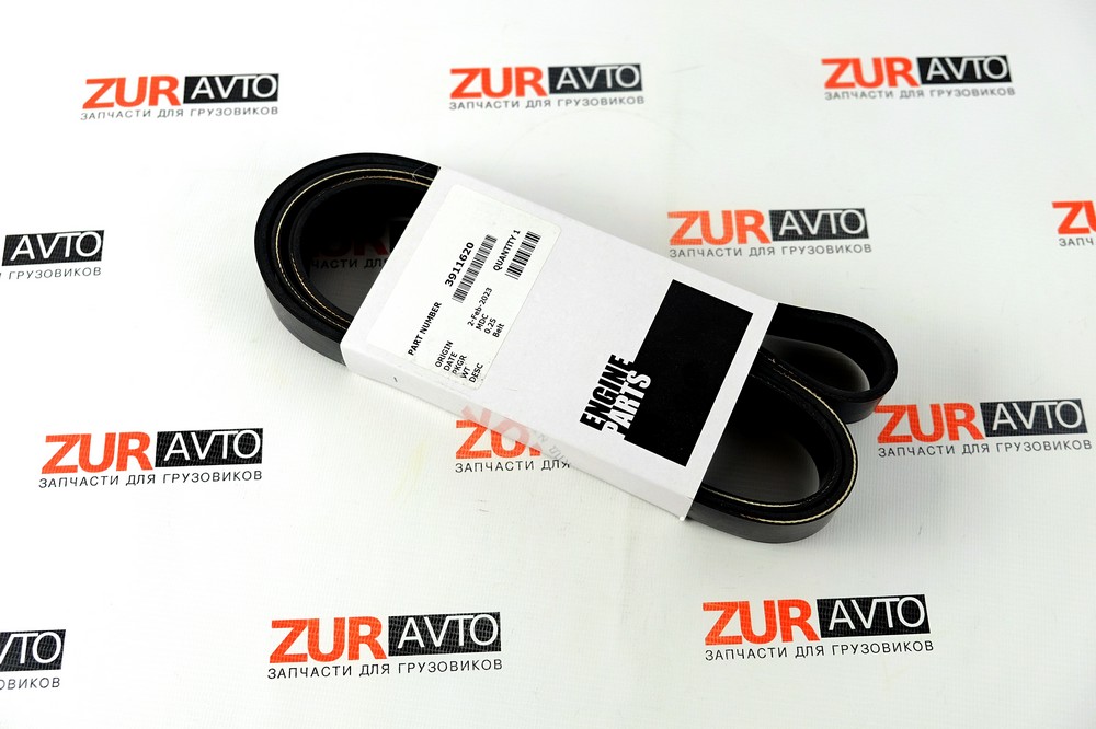 Ремень 1727/8РК L, QSL, ISLe 3911620 3911620