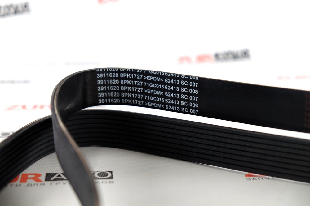 Ремень 1727/8РК L, QSL, ISLe 3911620 3911620