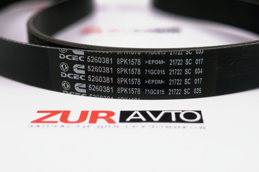 Ремень 1575/8РК 5260381 5260381